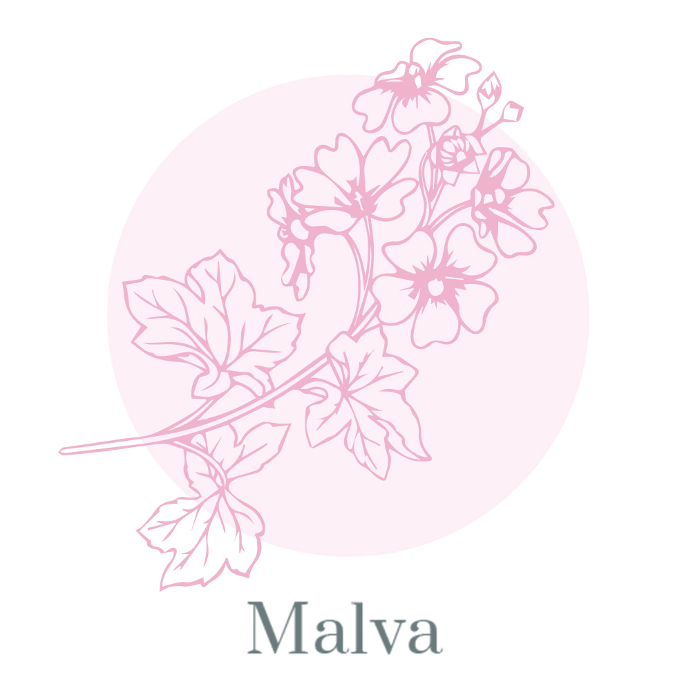 MALVA